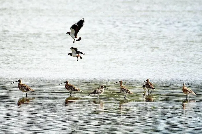 Appartementhaus Bavaria Apartment *